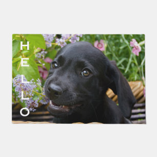 Paillasson Mignonne Black Labrador Retriever Chien Chien Chio