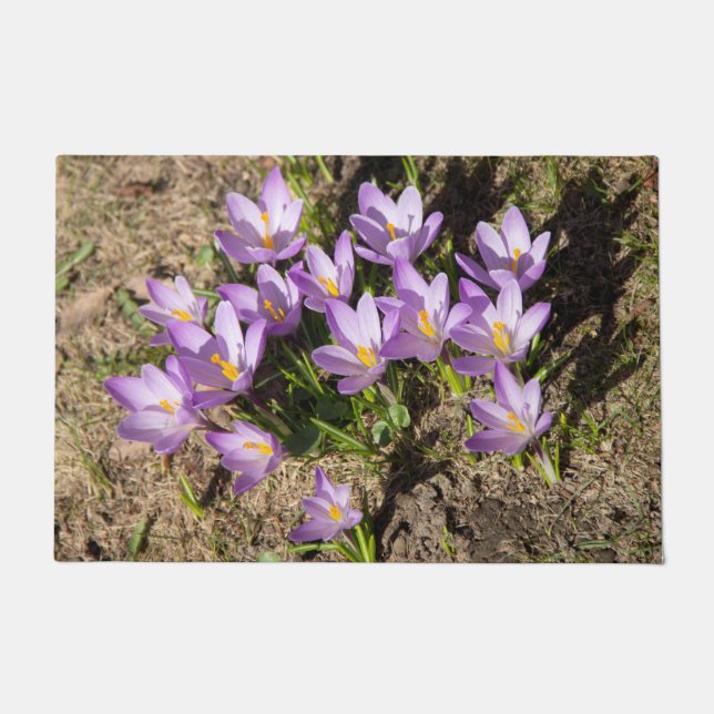 Paillasson Mignons crocus de printemps (Devant)