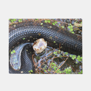 Paillasson Moccasin d'eau de Cottonmouth