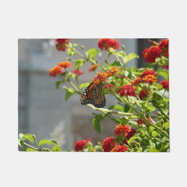 Paillasson Monarque papillon sur Buddleia rouge (Devant)