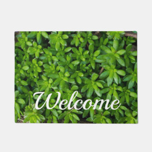 Paillasson Moss Abstrait Welcome Doormat