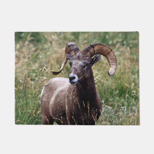 Paillasson Mouflons d'Amérique de montagnes rocheuses
