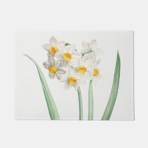 Paillasson Narcisse, Pierre-Joseph Redouté, 1805