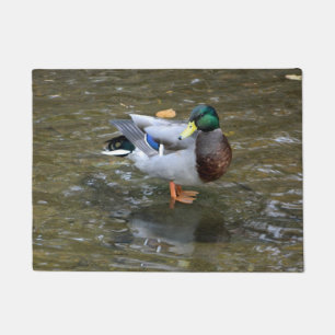 Paillasson Natte de pose de canard de Mallard