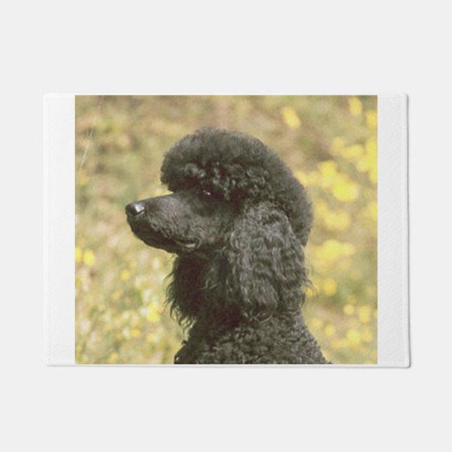 Paillasson noir de caniche (Devant)
