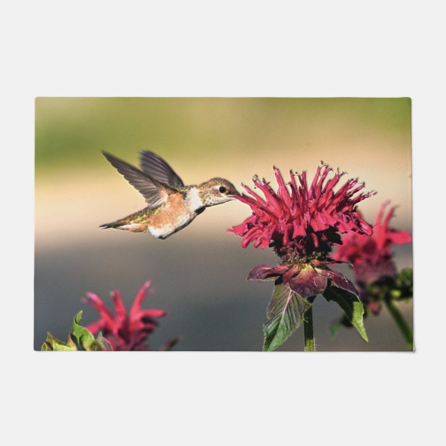 Paillasson Nourriture des fleurs de colibri (Devant)