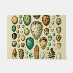 Paillasson Œufs d'oiseaux vintage Art de l'œuf de poisson fra
