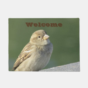 Paillasson Oiseau Petit Bruant Maison Brown Accueil Photo