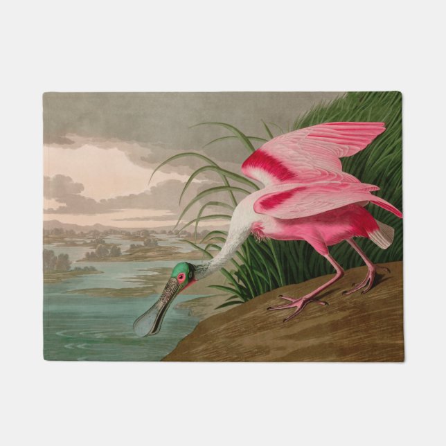 Paillasson Oiseaux d'Amérique de spatule de rose Audubon Impr (Devant)