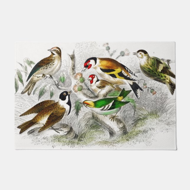 Paillasson Oiseaux vintages Vieille illustration - Animaux Ar (Devant)
