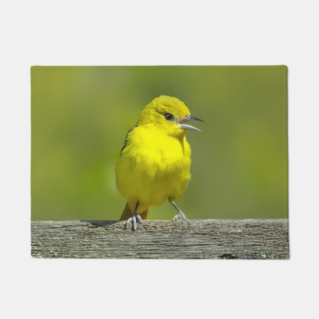 Paillasson Orchard Oriole - Photo originale (Devant)