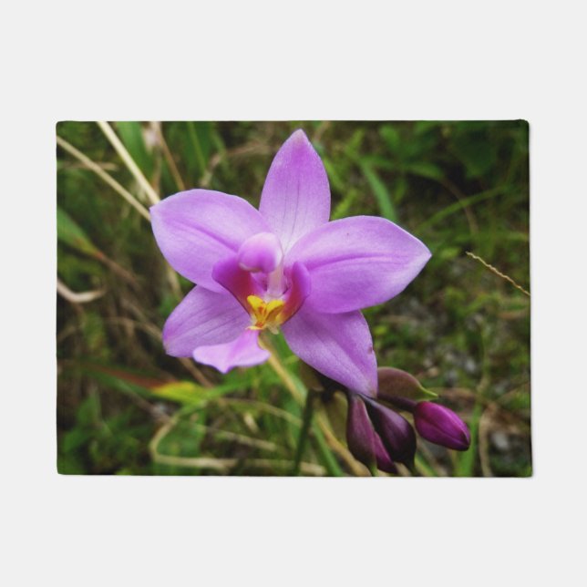 Paillasson Orchidée sauvage violette Fleur tropicale (Devant)