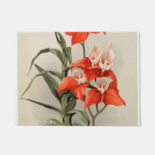 Paillasson Orchidées Fleur florissante Vintage vieille illust