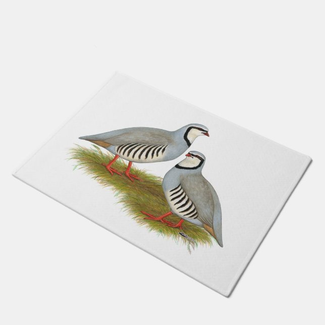 Paillasson Paire de perdrix de Chukar (Incliné)