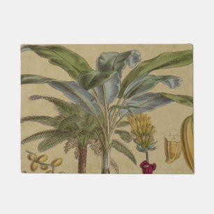 Paillasson Palm Antique Fruit Tropical Art Botanique