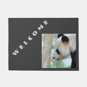 Paillasson Panda20170502_by_JAMFoto