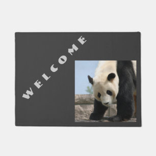 Paillasson Panda20170506_by_JAMFoto