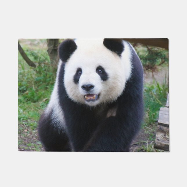 Paillasson Panda_20190301_by_JAMFoto (Devant)