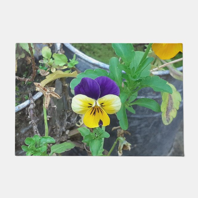 Paillasson Pansy pourpre et jaune  (Devant)