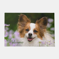 Papillon Dog Cute Romantic Potrait Photo - Bienven