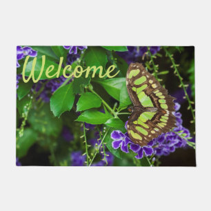 Paillasson Papillon malachite sur fleur violette