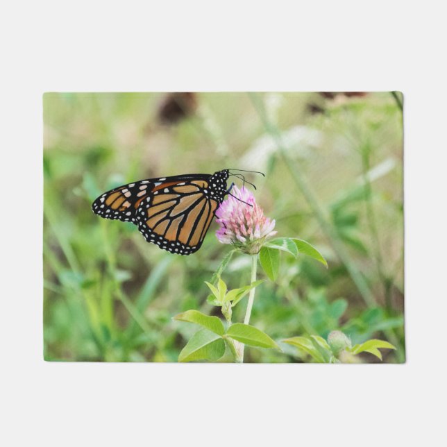 Paillasson Papillon Monarque (Devant)