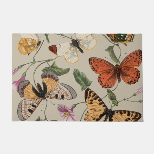 Paillasson Papillon Moth Nature Collection Dessin (Devant)