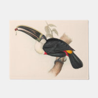 Peinture animalière d'antiquités Toucans