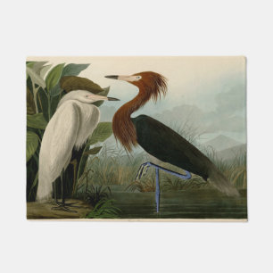 Paillasson Peinture de la faune d'Audubon Heron violet