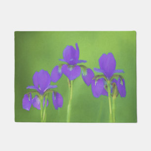 Paillasson Peinture Iris Violet - Art Fleur Originale