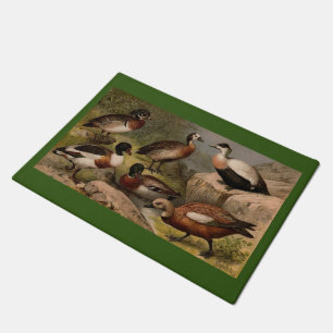 Paillasson Peinture vintage colorée de canards