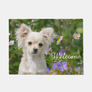 Paillasson Photo crème mignonne d'animal familier de chiot d