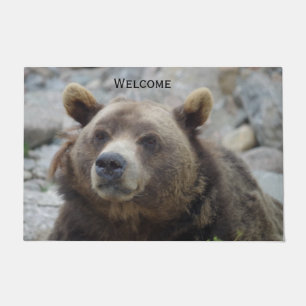 Paillasson Photo de portrait d'ours Kodiak avec gros plan sur