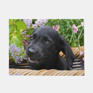 Paillasson Photo noire mignonne d'animal familier de chiot de