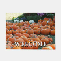 Photographie de récolte d'automne des citrouilles 