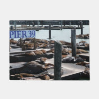 Pier 39 Sea Lions