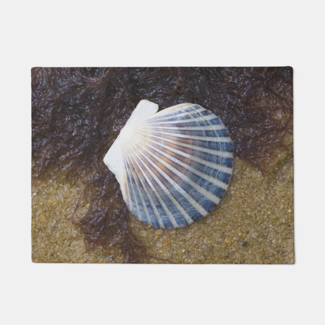 Paillasson Piscine de marée (Devant)