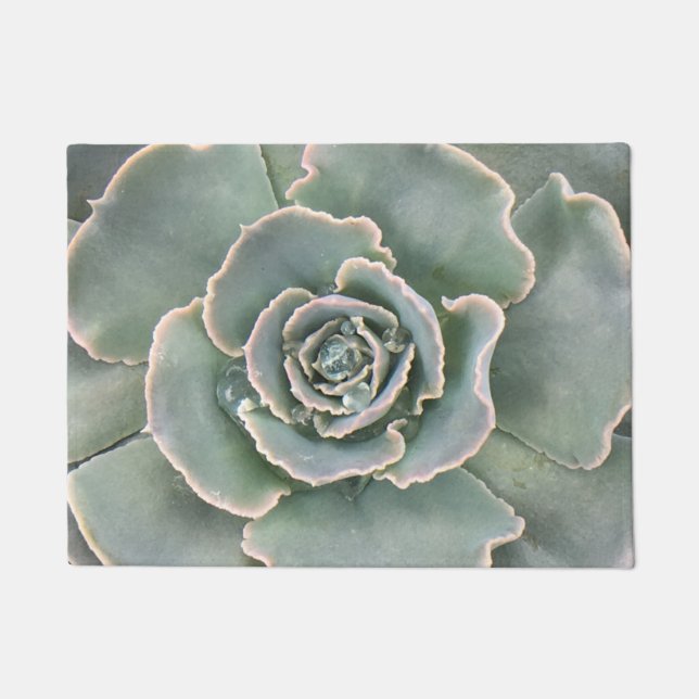 Paillasson Plutôt Succulent (Devant)