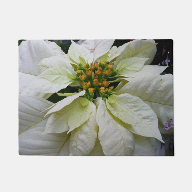 Paillasson Poinsettia Elegant Christmas Holiday Floral (Devant)