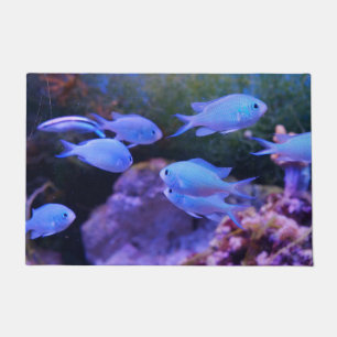 Paillasson Poisson bleu tropical 