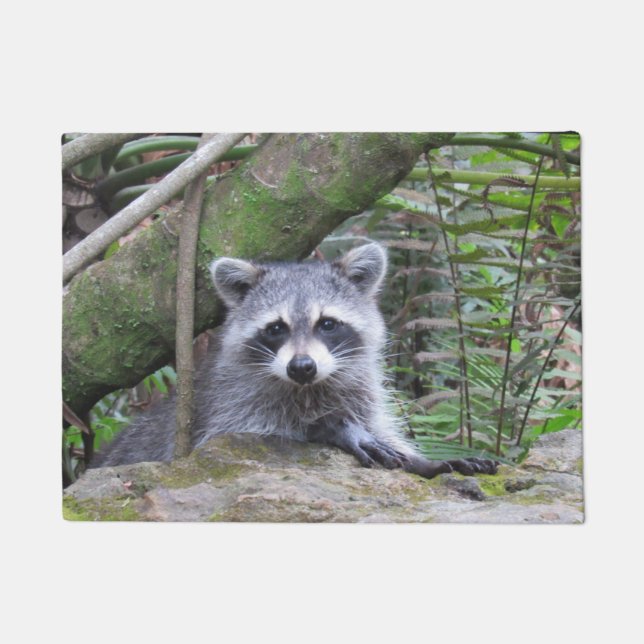 Paillasson Portable Raccoon adorable (Devant)