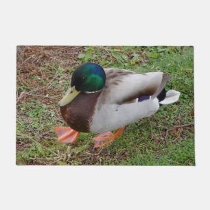 Paillasson Porte de canard à tête verte