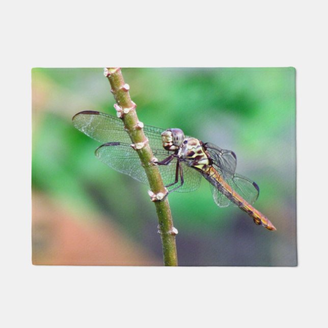 Paillasson Porte de dragonfly (Devant)