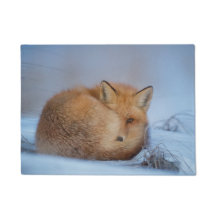 Porte en Fox tressé