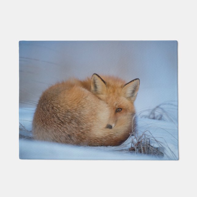 Paillasson Porte en Fox tressé (Devant)