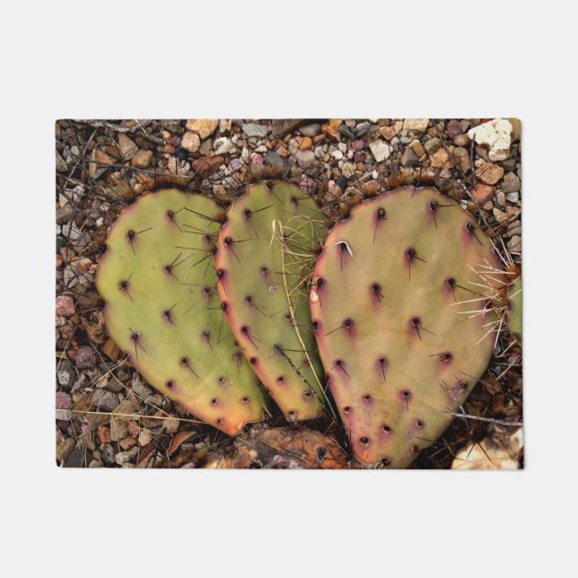 Paillasson Portrait de Cactus (Devant)