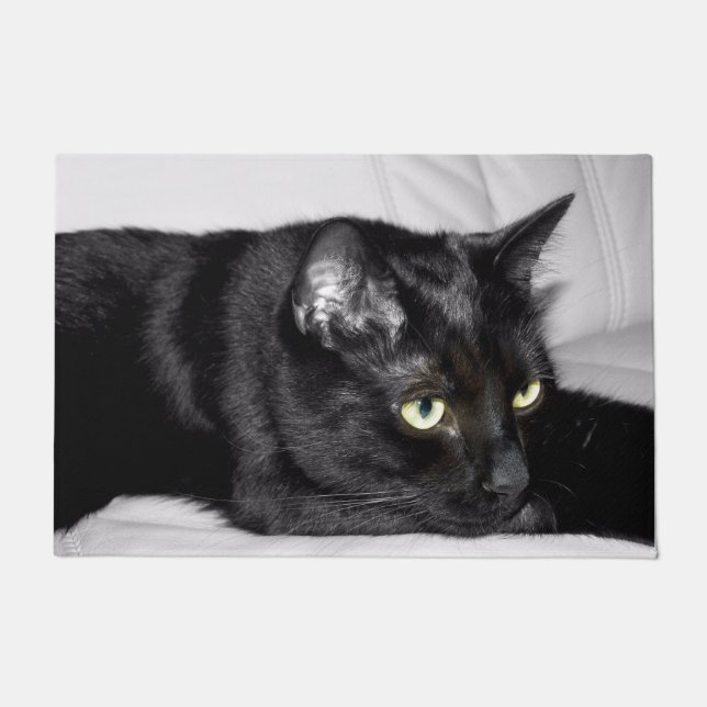 Paillasson Portrait de chat noir mignon (Devant)