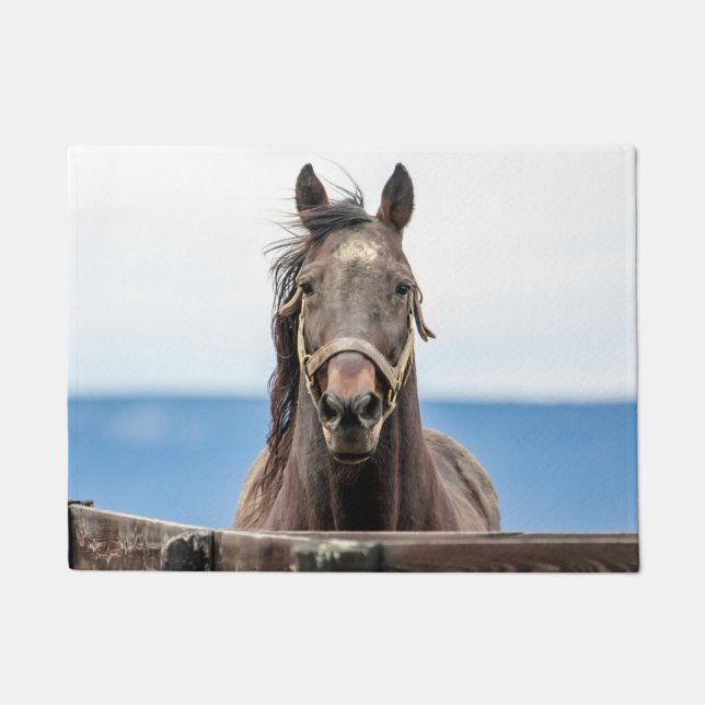 Paillasson Portrait d'un cheval (Devant)