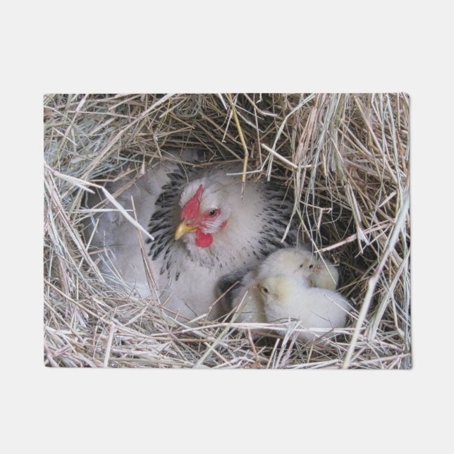 Paillasson Poule de mère avec de nouveaux poussins (Devant)