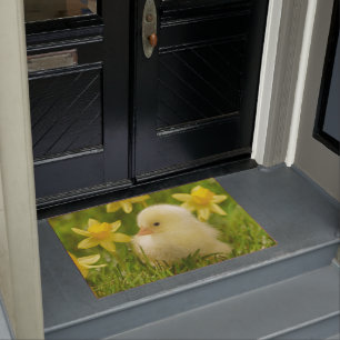 Paillasson poussin de bébé dans les jonquilles